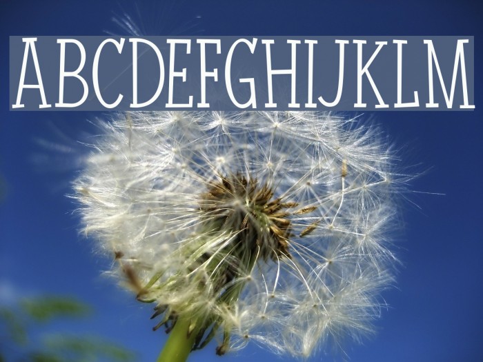 Nuuk DEMO Regular Font examples