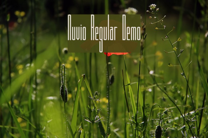 Nuvio Regular Demo Font examples