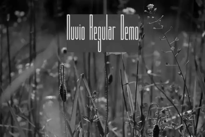 Nuvio Regular Demo Example 2