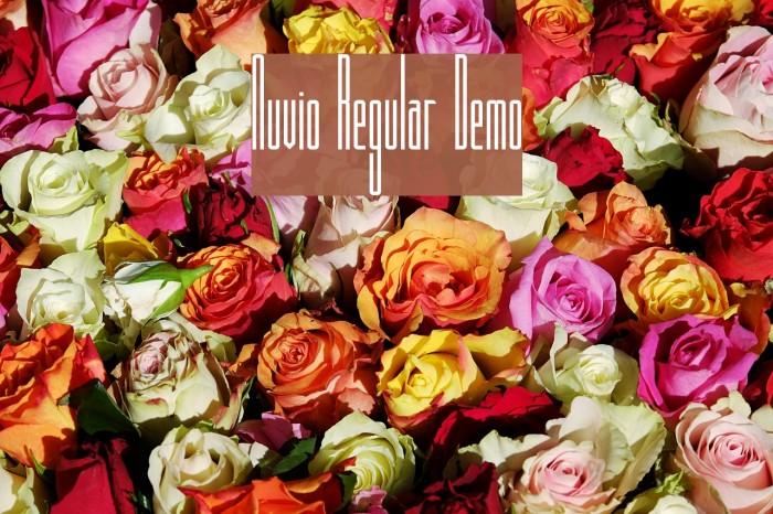 Nuvio Regular Demo Font examples