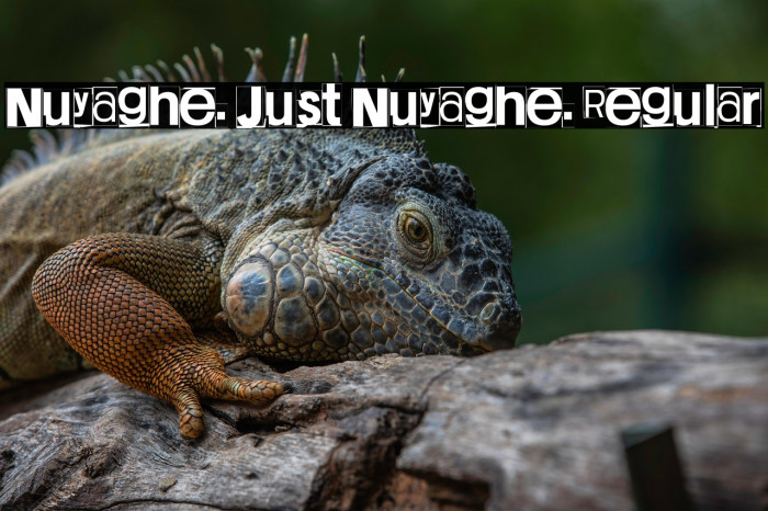 Nuyaghe. Just Nuyaghe. Regular Example 1