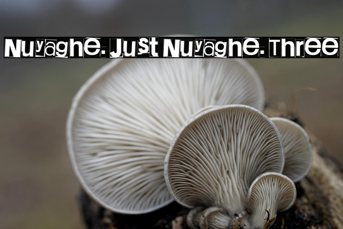 Nuyaghe. Just Nuyaghe. Three Example 1