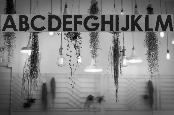 nu-century-gothic Bold Font examples