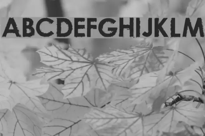 nu-century-gothic Bold Font examples