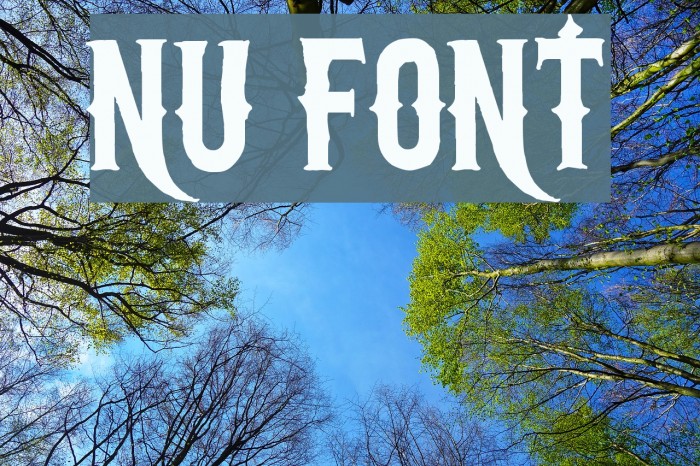 nu Font examples