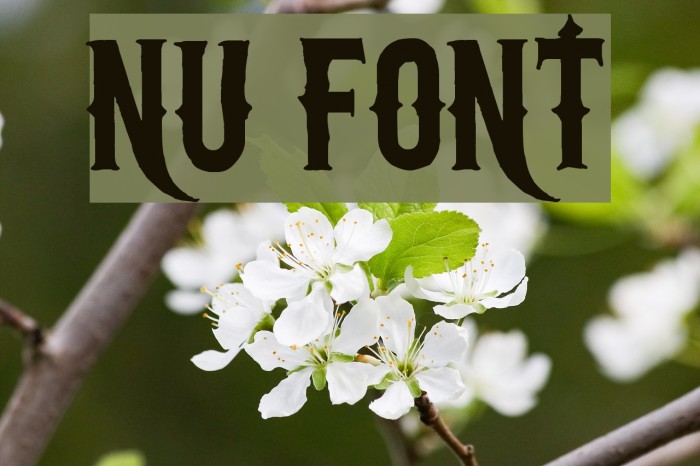 nu Font examples