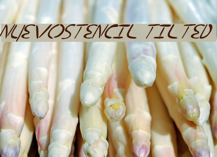 nuevostencil tilted Example 2