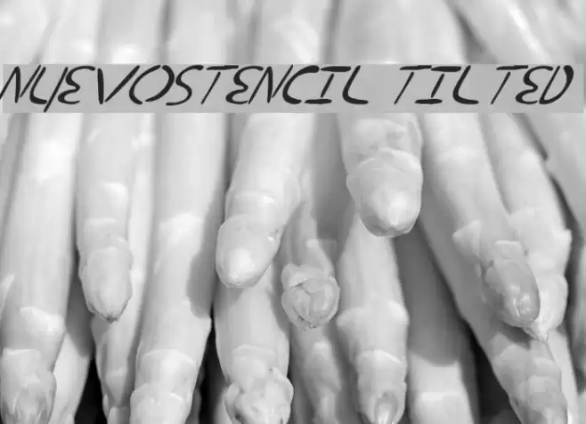 nuevostencil tilted Font examples
