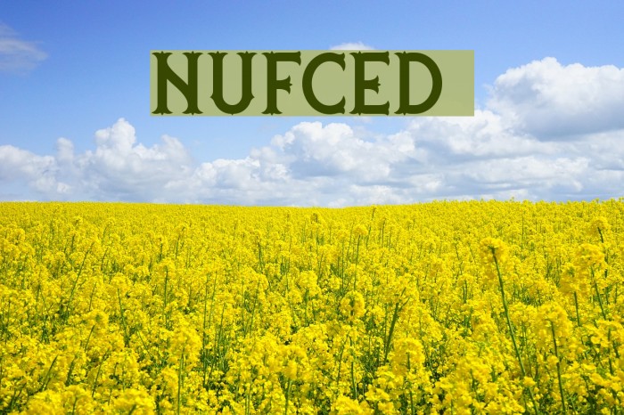 nufced DEMO Font examples