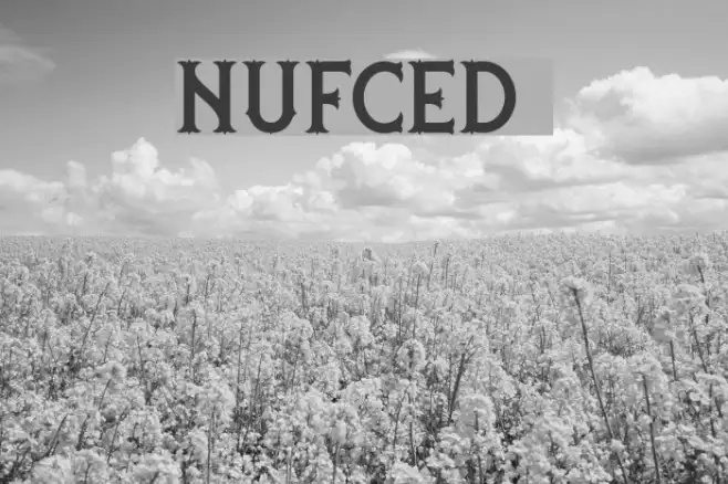 nufced DEMO Example 1
