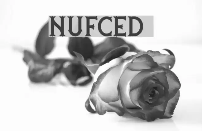 nufced DEMO Example 3