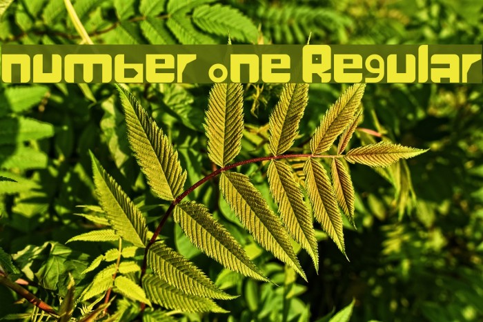 number one Regular Font - FFonts.net
