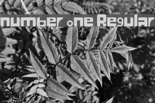 number one Regular Font examples