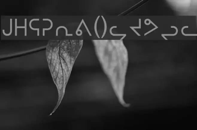 nunacom Example 1