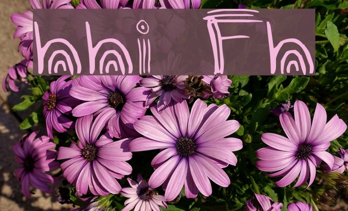 nuni Font examples