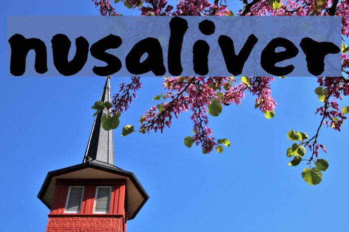 nusaliver フォント examples