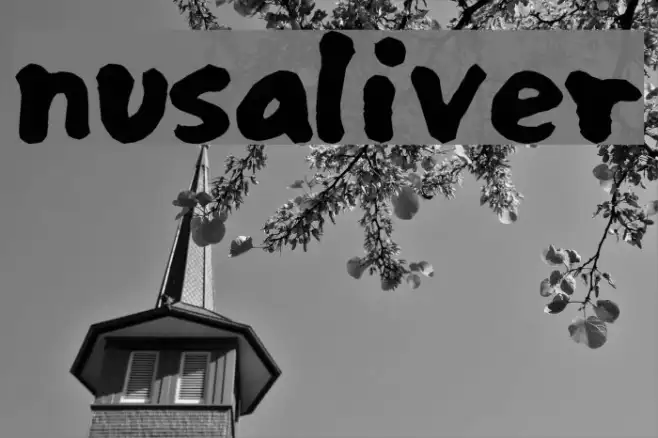 nusaliver Example 1