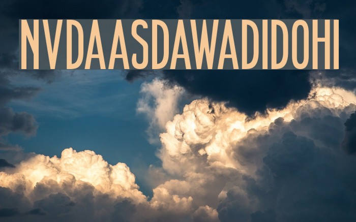 NVDAASDAWADIDOHI Font examples