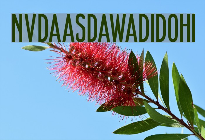 NVDAASDAWADIDOHI Font examples