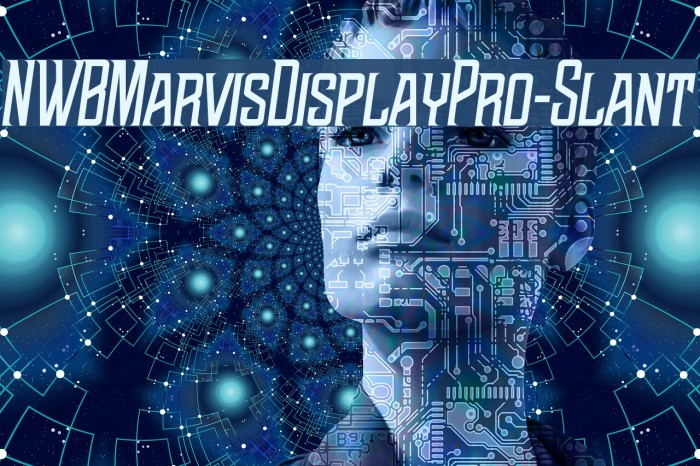 NWBMarvisDisplayPro-Slant Font examples