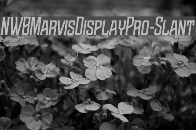 NWBMarvisDisplayPro-Slant Example 2