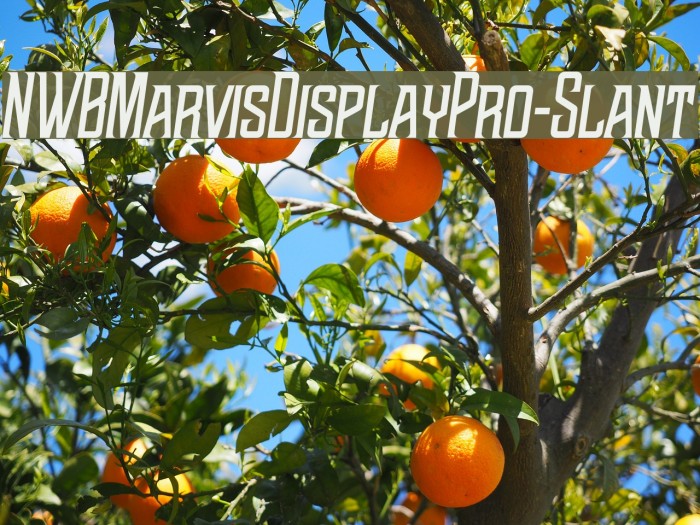 NWBMarvisDisplayPro-Slant Font examples
