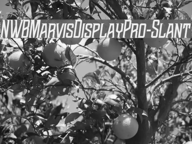 NWBMarvisDisplayPro-Slant Example 3