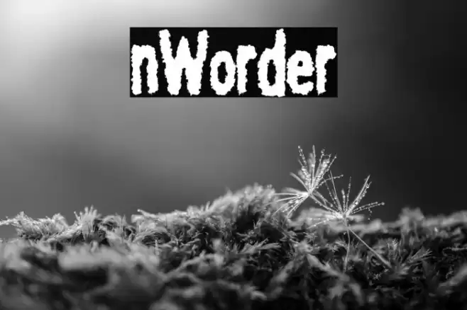 nWorder Font examples