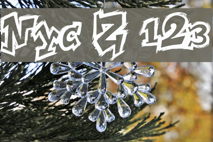 NYC Zone 123 Example 2