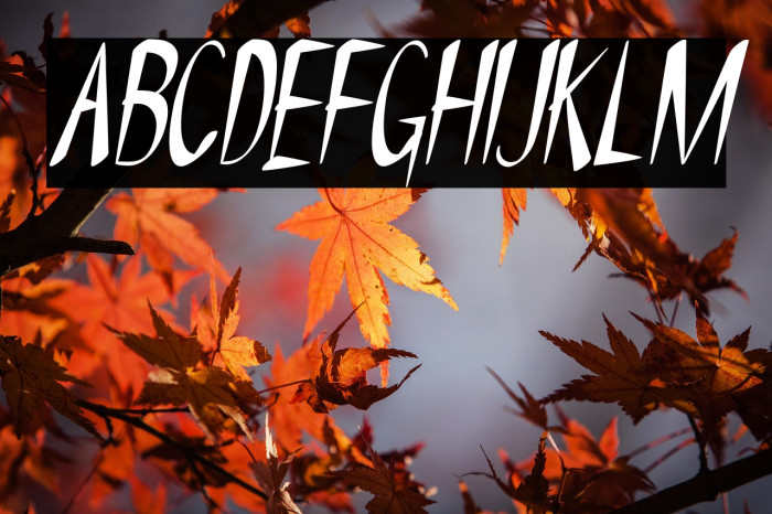 NYOEHOKA-Italic Example 2