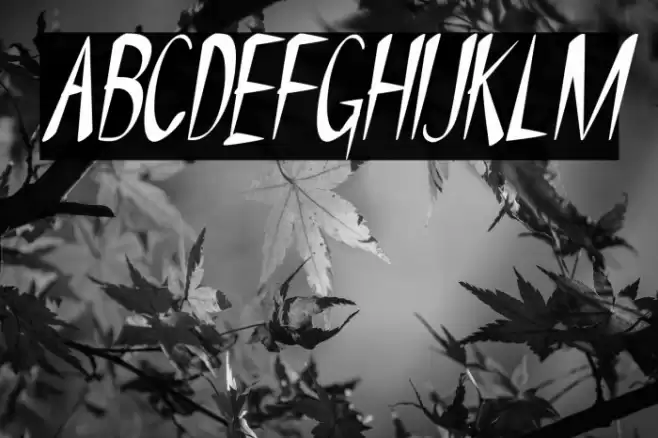 NYOEHOKA-Italic Fuentes examples