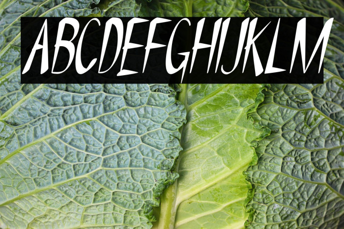 NYOEHOKA-Italic Example 3