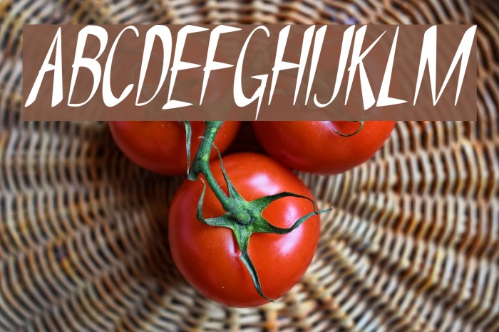 NYOEHOKA-Italic Font examples