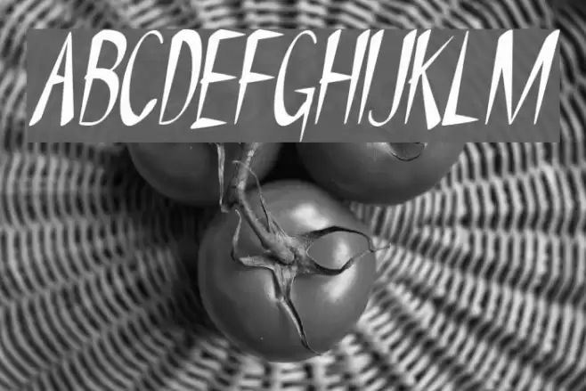 NYOEHOKA-Italic Font examples