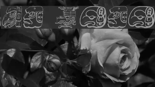 Ny Maya Font examples