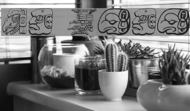 Ny Maya Font examples