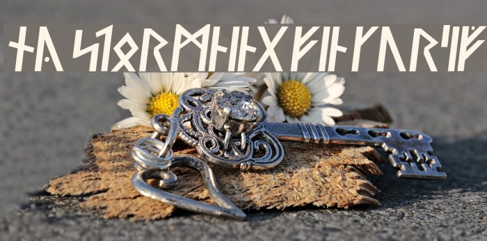 Ny Stormning Fin Kursiv Example 1