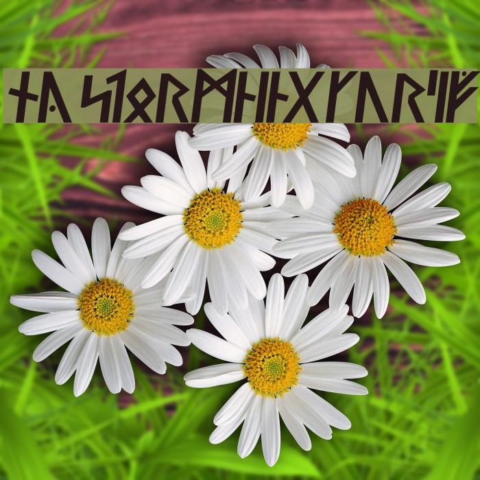 Ny Stormning Kursiv Example 2