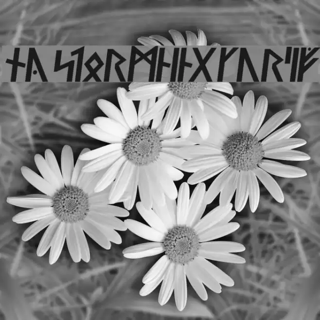 Ny Stormning Kursiv Font examples