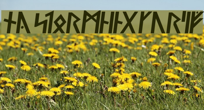 Ny Stormning Kursiv Example 3