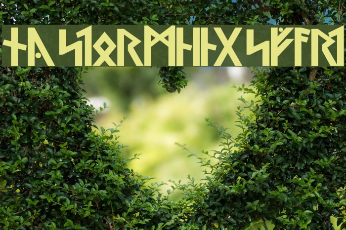 Ny Stormning Svart Font examples