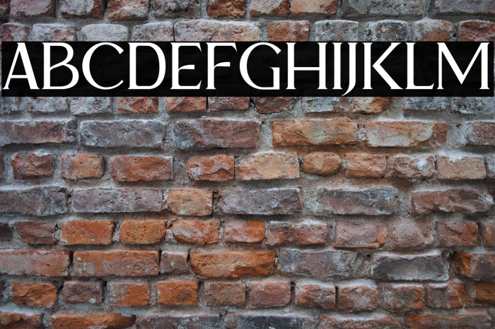 Nyali Demo Example 3