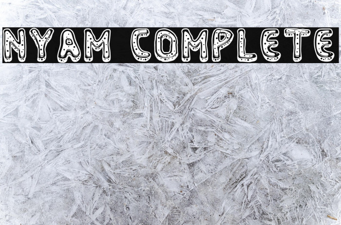 Nyam Complete Example 2