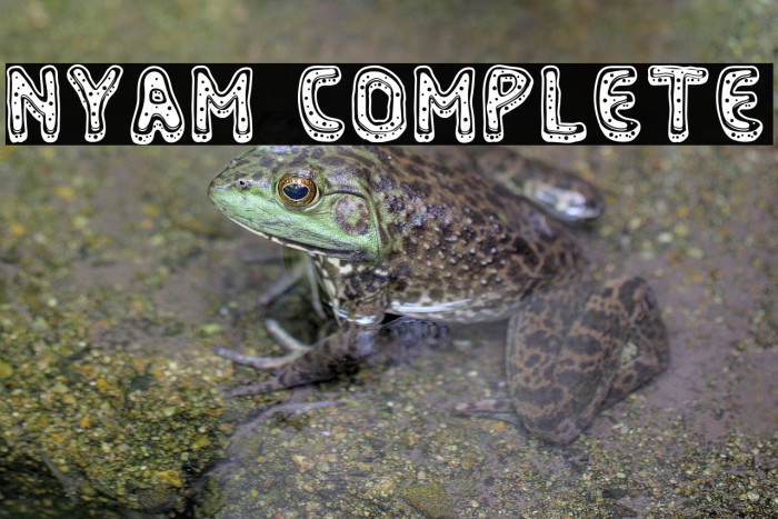 Nyam Complete Example 3