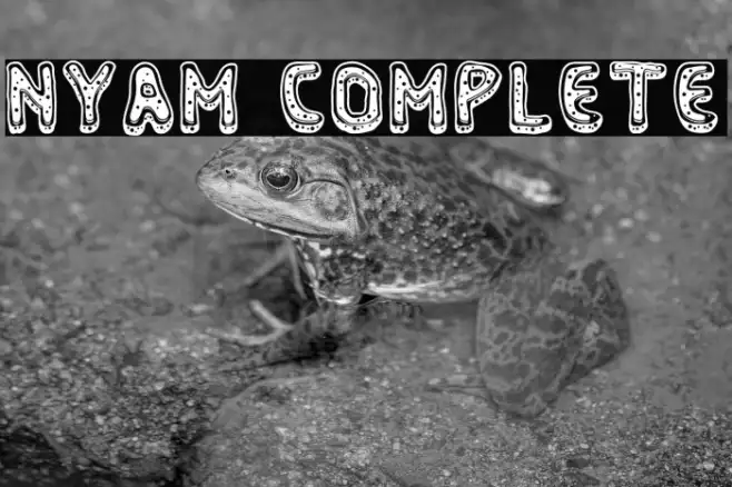 Nyam Complete Example 3