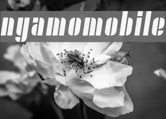 Nyamomobile Font examples