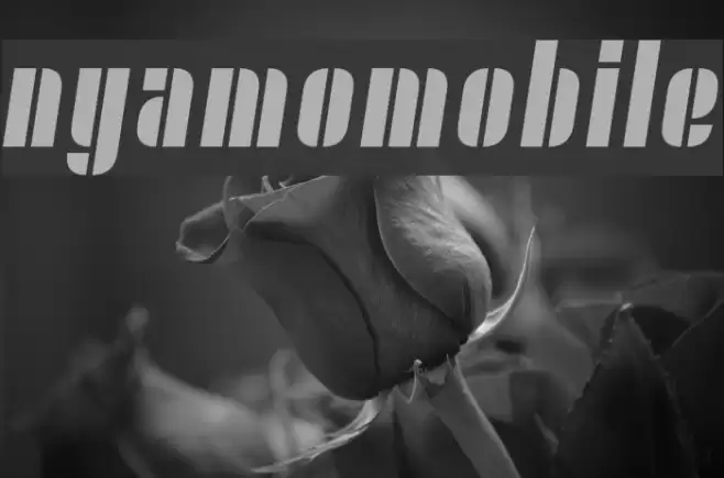 Nyamomobile Font examples