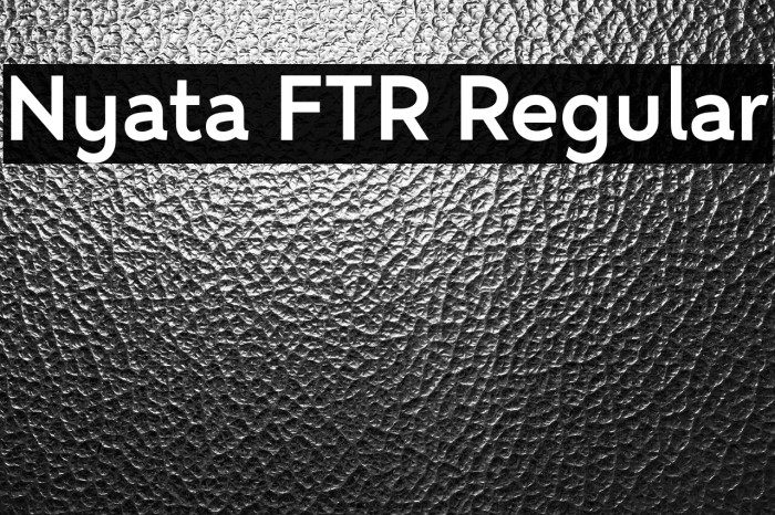 Nyata FTR Regular Example 1