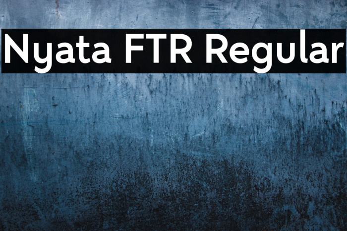 Nyata FTR Regular Example 2