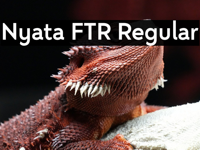 Nyata FTR Regular Example 3
